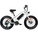 Electric Smart Bike - 20”Tyre